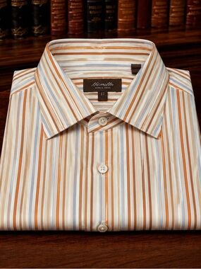 Hamilton Multi/color Striped Dress Shirt